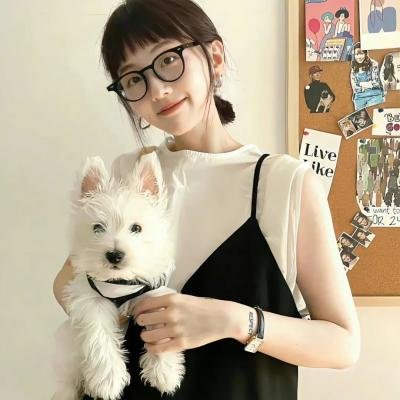 老爸上战场