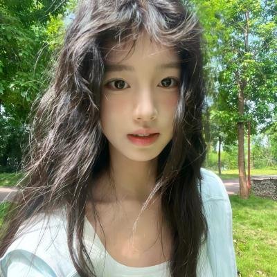 狮子王们的夏天